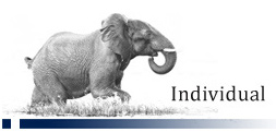 Individual Products
